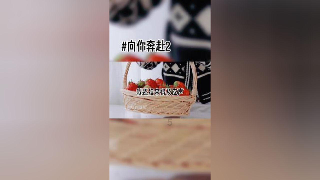 死神境界大冒险