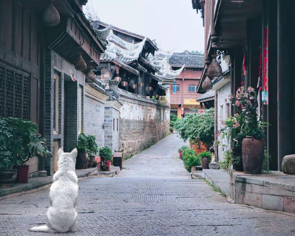 密室逃脱3之办公大厦